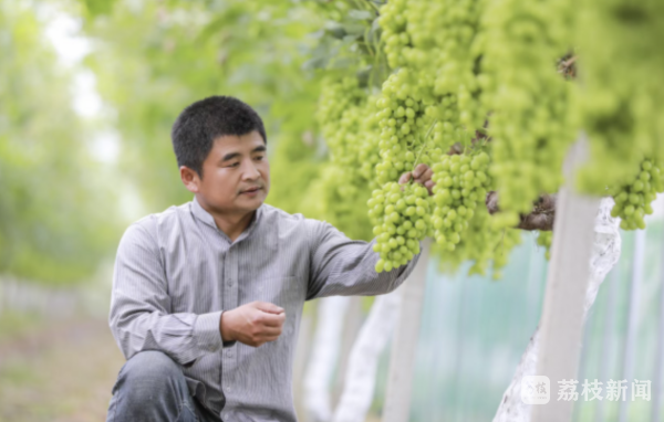 【人大代表在身邊】立足本職深入一線調(diào)研 以更高質(zhì)量履職澎湃江蘇發(fā)展動能